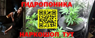 трава Лесосибирск