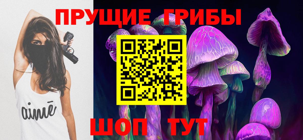 Галлюциногенные грибы Psilocybine cubensis Тула