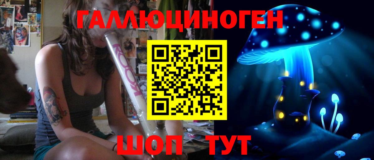 Галлюциногенные грибы GOLDEN TEACHER  Галлюциногенные грибы Psilocybine cubensis  Вход с VPN  магазин продажи наркотиков  Тула 